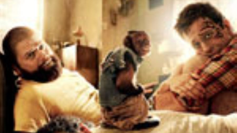 Judge Allows Hangover II To Be Shown Memorial Day Weekend 2011