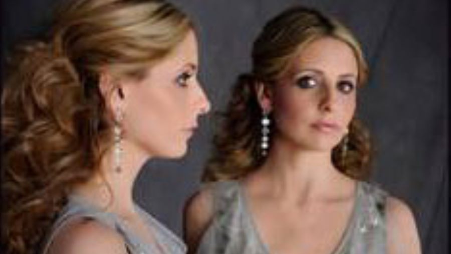 Sarah Michelle Gellar and Ringer To Appear At Comic Con 2011