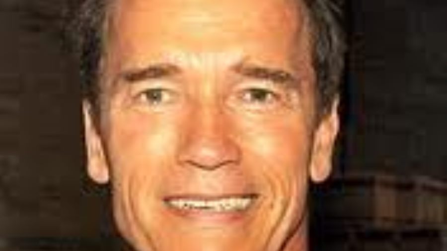 Schwarzenegger and Satllone Team Up for The Tomb