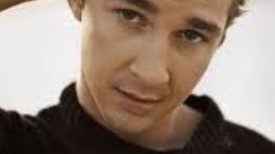 Shia LaBeouf to Perform Real Sex Acts in Upcoming Lars VonTrier Film