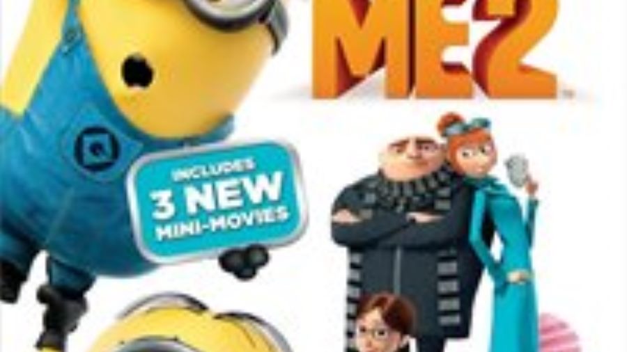Despicable Me 2 Shatters Industry Records In Home Entertainment Debut