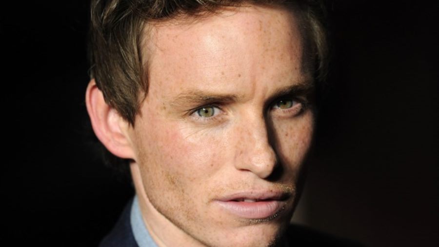 Eddie Redmayne a Favorite for Fantastic Beasts
