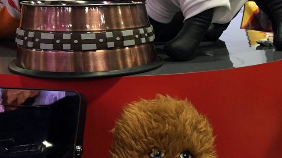 Petco Debuts New Star Wars Pet Accessories at Comic Con 2015