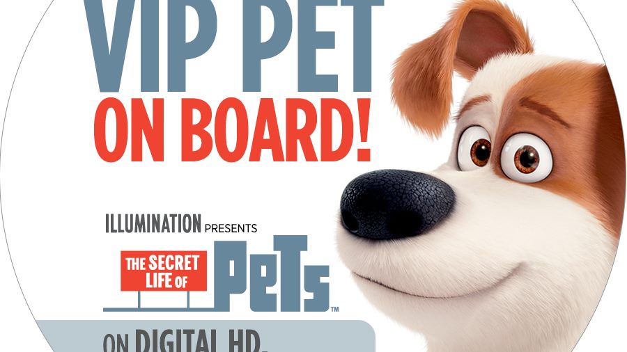 Amtrak and Universal Holding Pets Ride for Free Promotion