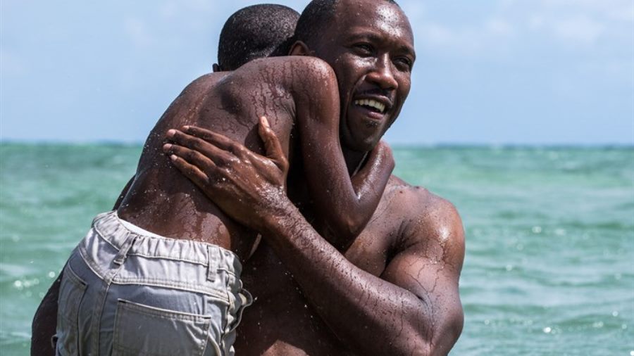Expanding Theater Showings for Academy Award Winning Moonlight