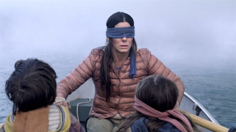 Netflix Issues a Statement Regarding Birdbox Challenges