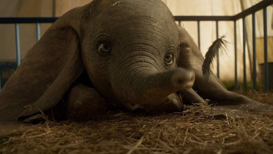 Disney Offering Sneak Peeks of Dumbo Beginning This Weekend