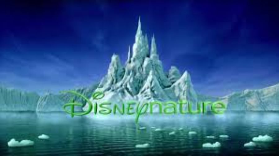 Natalie Portman to Narrate Disneynature's Dolphin Reef