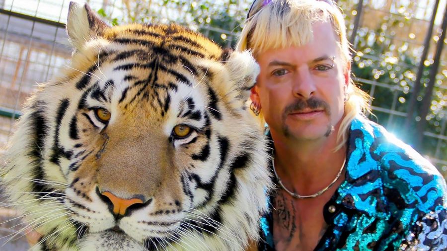 Nicolas Cage to Star in Joe Exotic Series