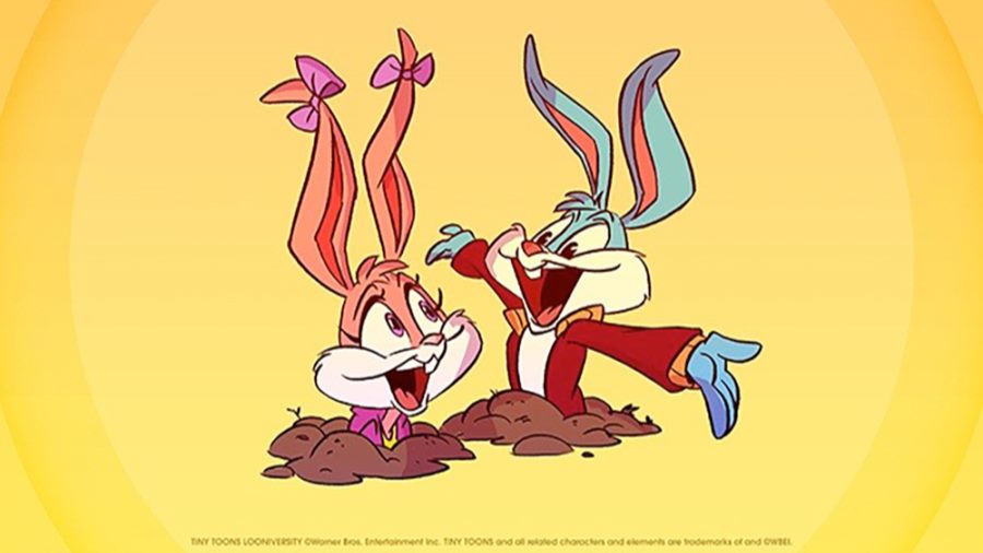 Tiny Toons Looniversity Given Series Order