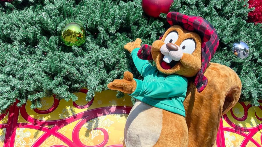 Earl the Squirrel to Make His Debut at Universal Orlando Resort