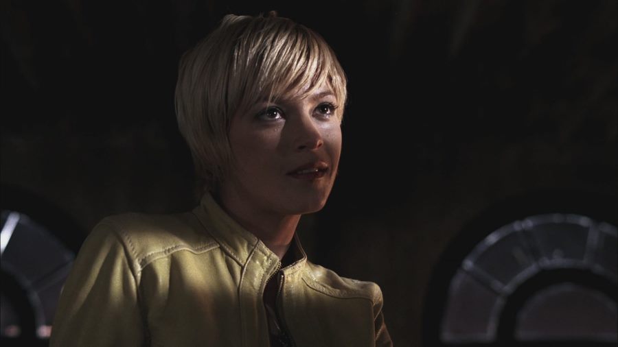 Supernatural Actress Nicki Aycox Dies at 47