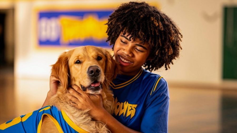 Dog-Friendly Air Bud Screenings Offer First Look at Air Bud Returns
