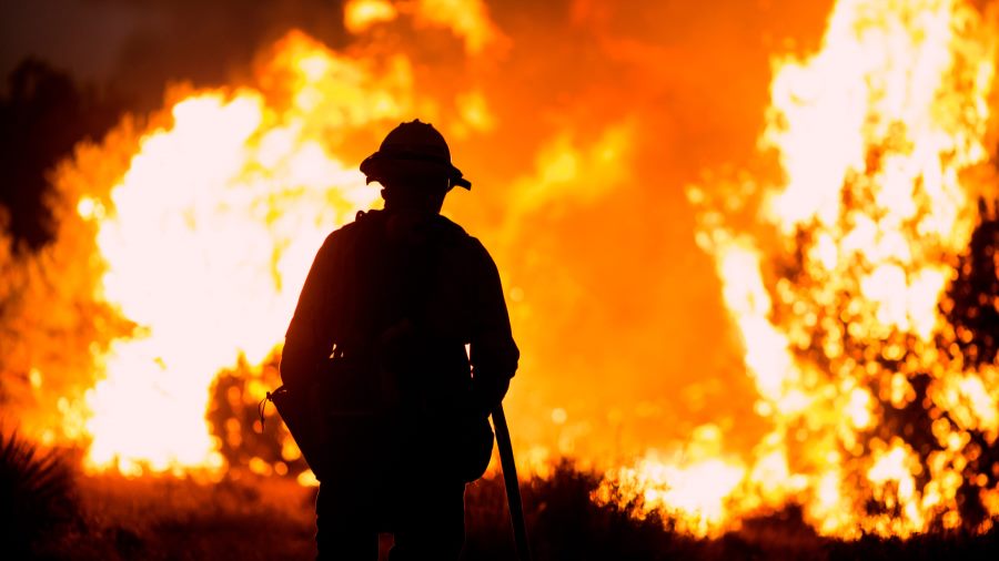 Los Angeles Premieres Canceled as Wildfires Disrupt Events