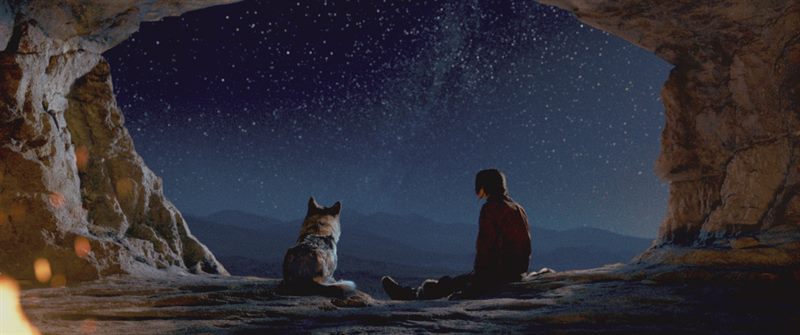 Alpha Courtesy of Columbia Pictures. All Rights Reserved.
