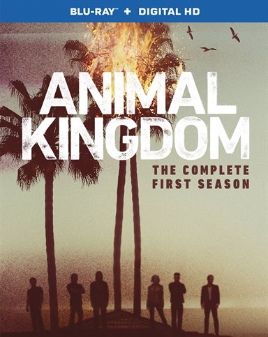 Animal Kingdom: The Complete First Season Blu-ray Review, Animal