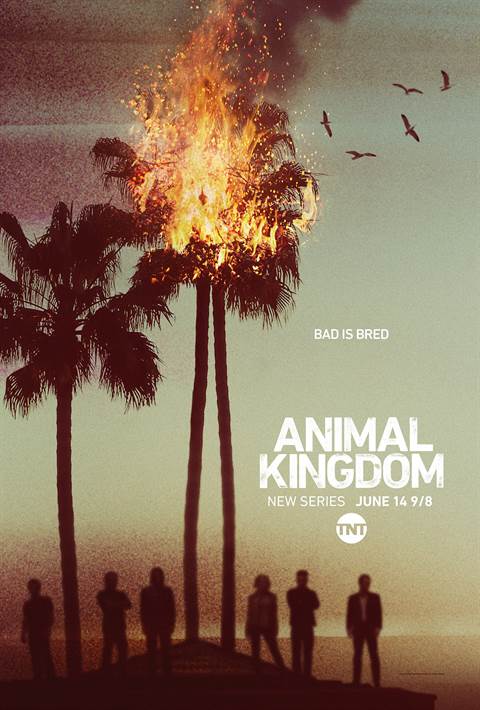 Animal Kingdom movie poster