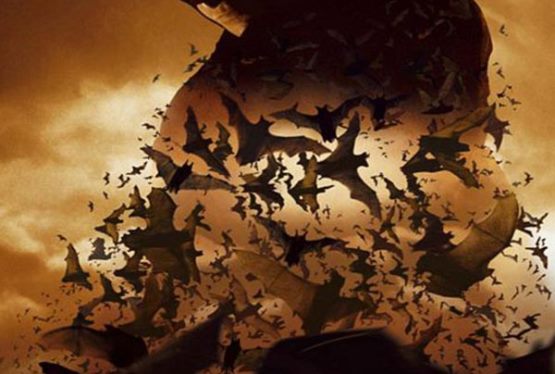 Batman Begins