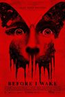 Before I Wake