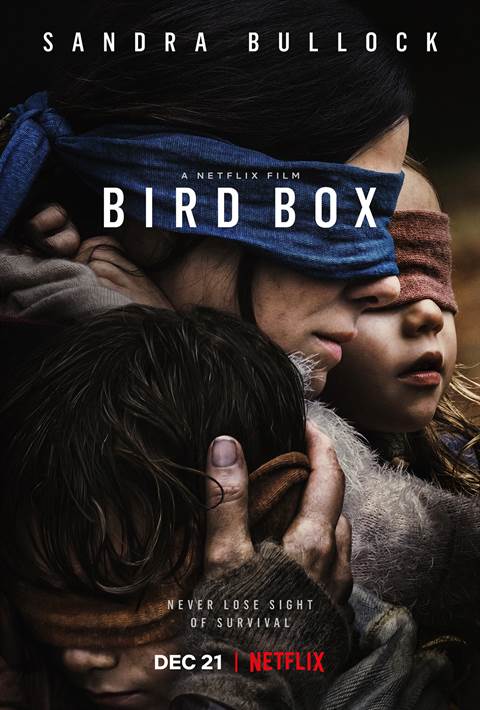 Bird Box movie poster