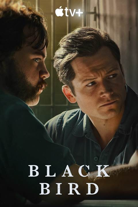 Black Bird movie poster