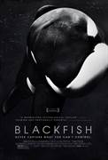 Blackfish