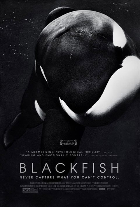 Blackfish movie poster