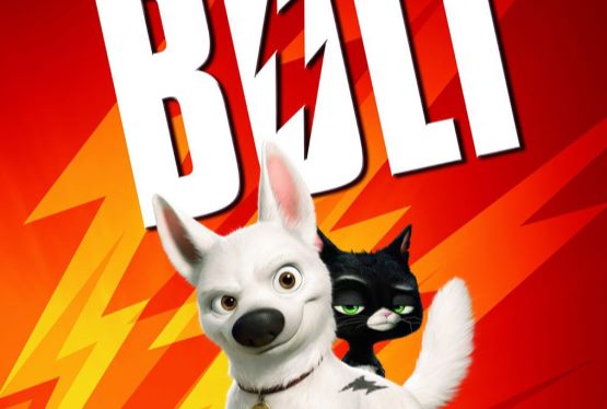 Bolt