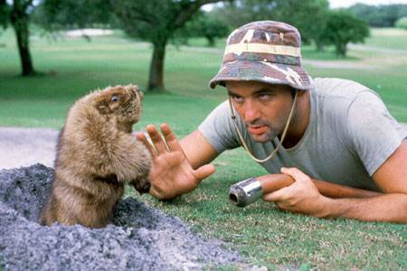 Caddyshack Courtesy of Orion Pictures. All Rights Reserved.