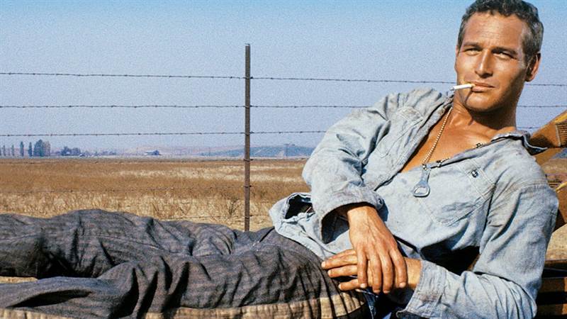 Cool Hand Luke Courtesy of Warner Bros.. All Rights Reserved.