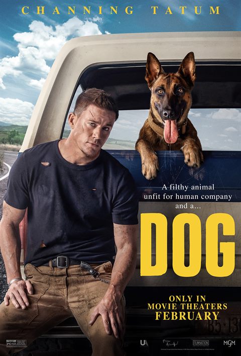 Dog movie poster