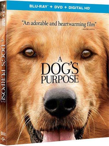 A Dog's Purpose (2017) Blu-ray Review