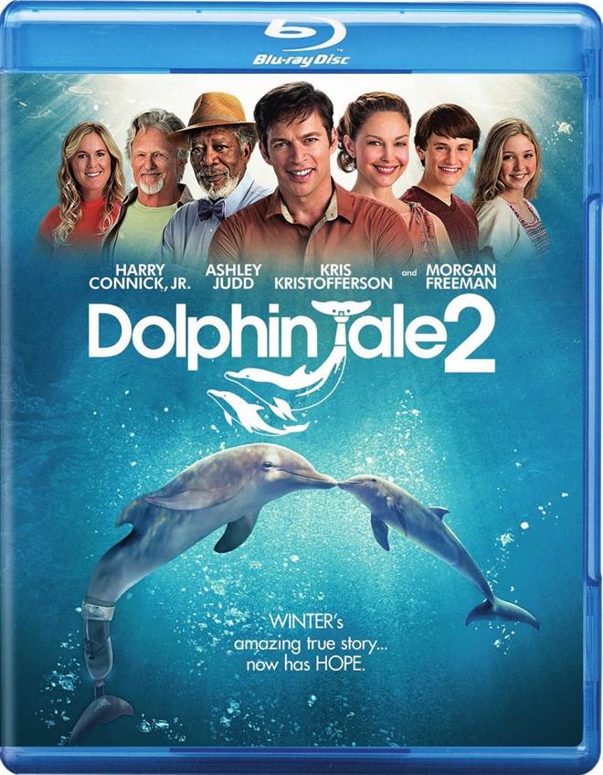 Dolphin Tale 2 (2014) Blu-ray Review