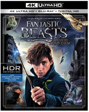 Fantastic Beasts and Where to Find Them Physical Media: 4K UHD Review