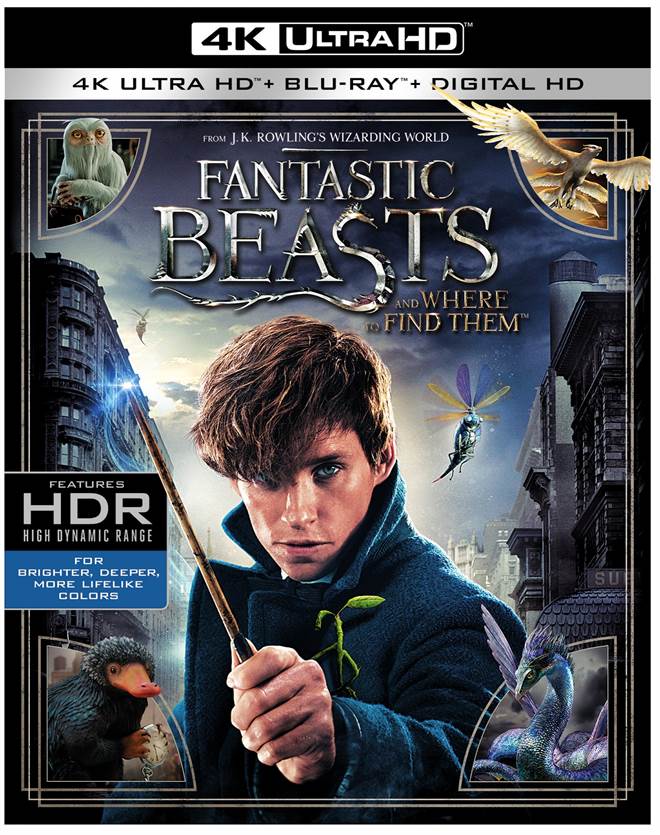 Fantastic Beasts and Where to Find Them (2016) 4K Review