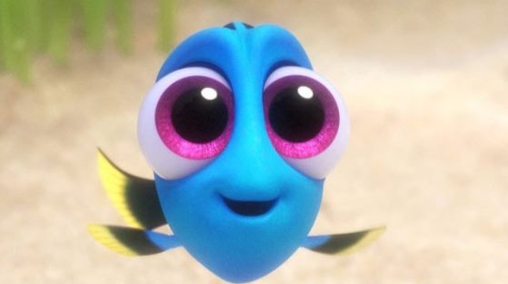 Baby Dory Clip