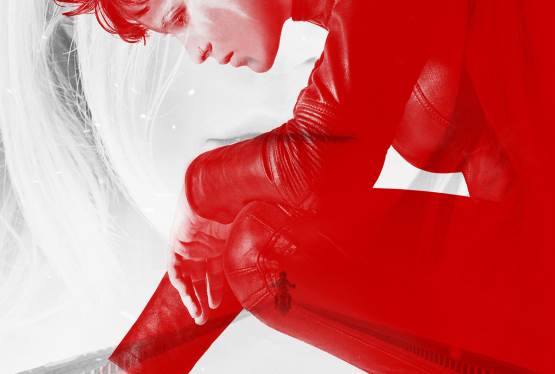 The Girl in the Spider's Web