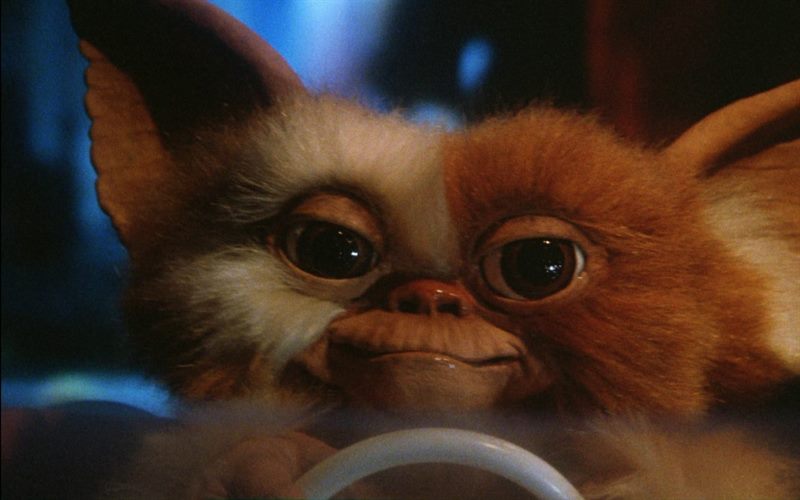 Gremlins Courtesy of Warner Bros.. All Rights Reserved.