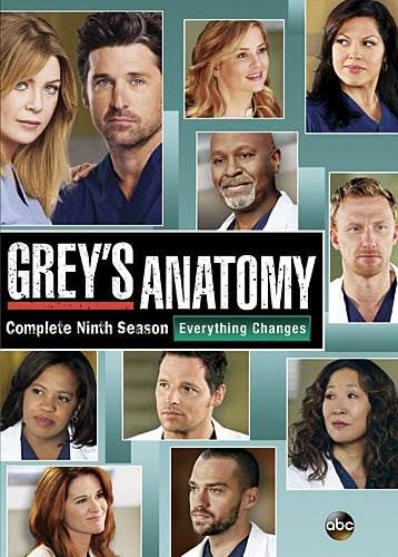 Grey's Anatomy: The Complete Ninth Season DVD Review
