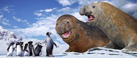 Happy Feet Courtesy of Warner Bros.. All Rights Reserved.