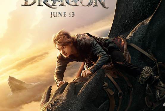 How to Train Your Dragon