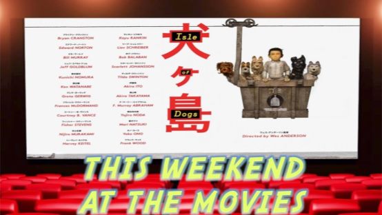 Video Review