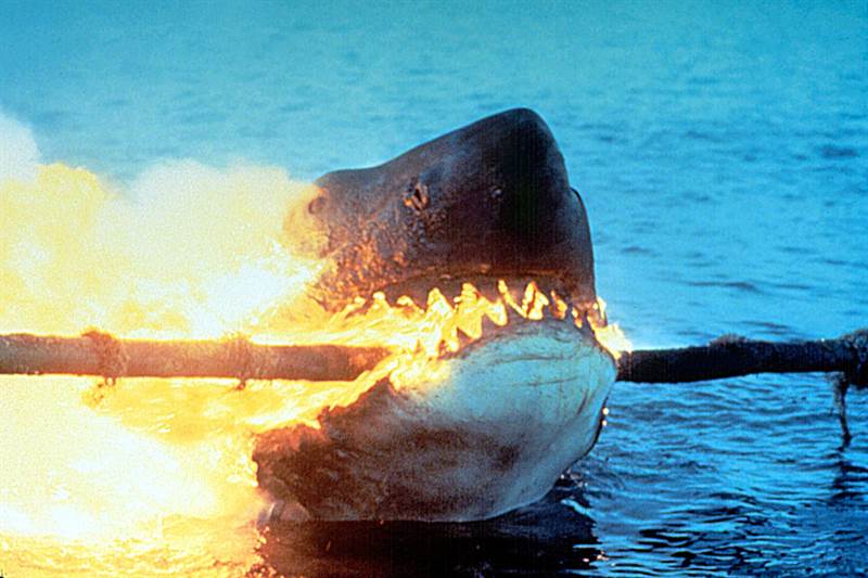 Jaws 2 Courtesy of Universal Pictures. All Rights Reserved.