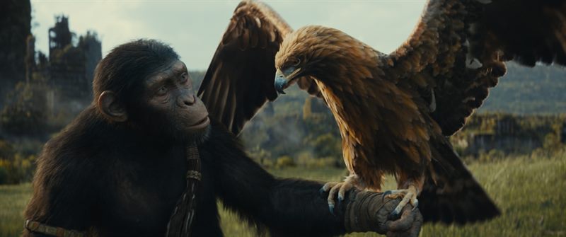 Kingdom of the Planet of the Apes Courtesy of 20th Century Studios. All Rights Reserved.