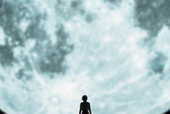 Lucy in the Sky