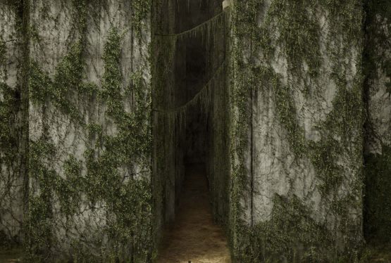 The Maze Runner
