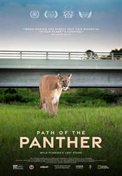 Path of The Panther Movie / Film Review