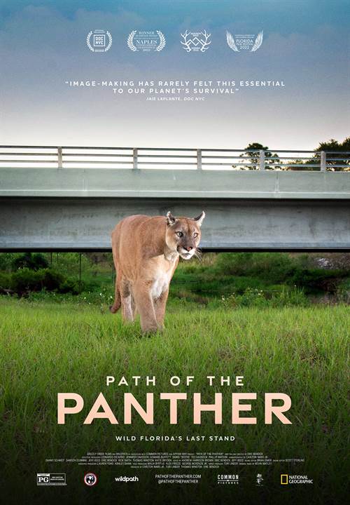 Path of The Panther