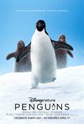 Disneynature Penguins