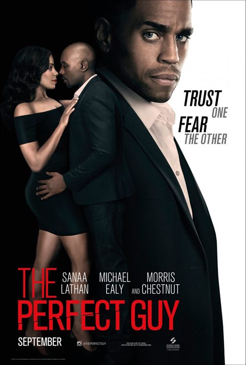 The Perfect Guy movie poster